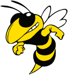 Cameron High School mascot