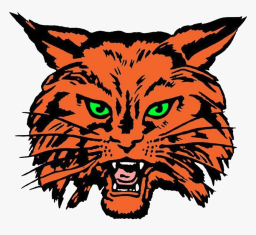 Clark County High School mascot