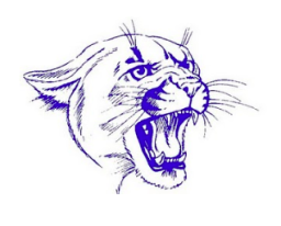 Dirigo High School mascot