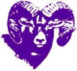 Strasburg High School mascot