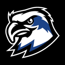 Star International Academy mascot
