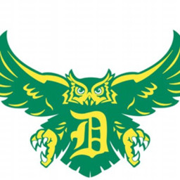 Dundalk High School mascot