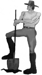 Newell High School mascot