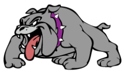 Lake Mills High School mascot