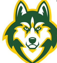 Des Moines Hoover High School mascot