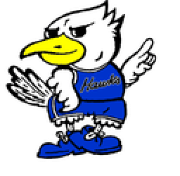 Remsen St. Marys High School mascot