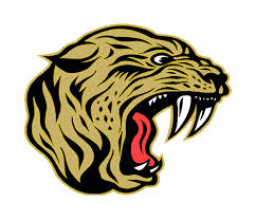 Jasper High School mascot