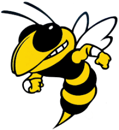 St. Elizabeth High School mascot